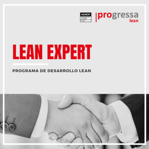 Programa de Desarrollo Lean Expert