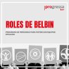 Roles de Belbin: programa de personas para potenciar equipos eficaces