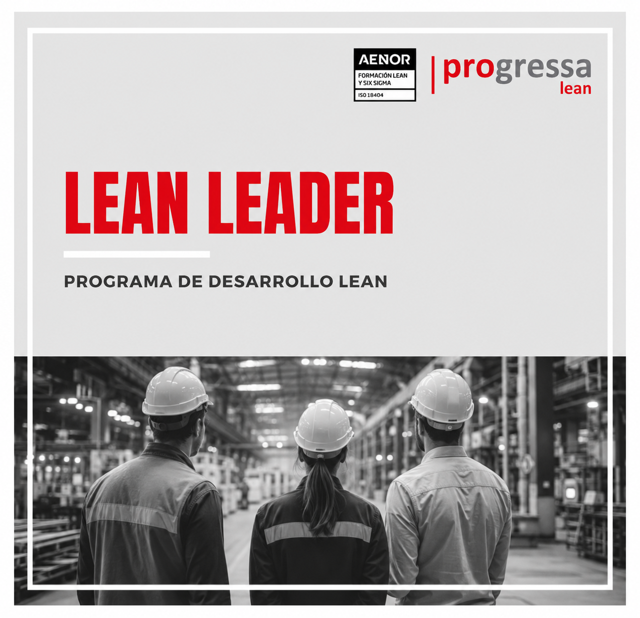 Programa de Desarrollo Lean Leader